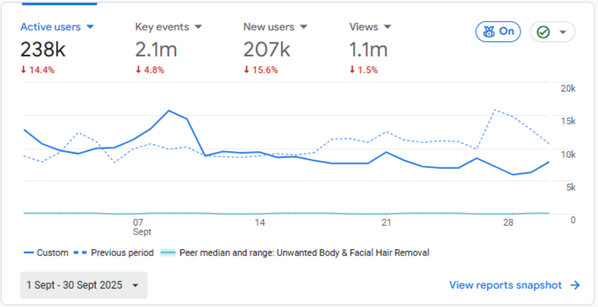 Before SEO F&P Results