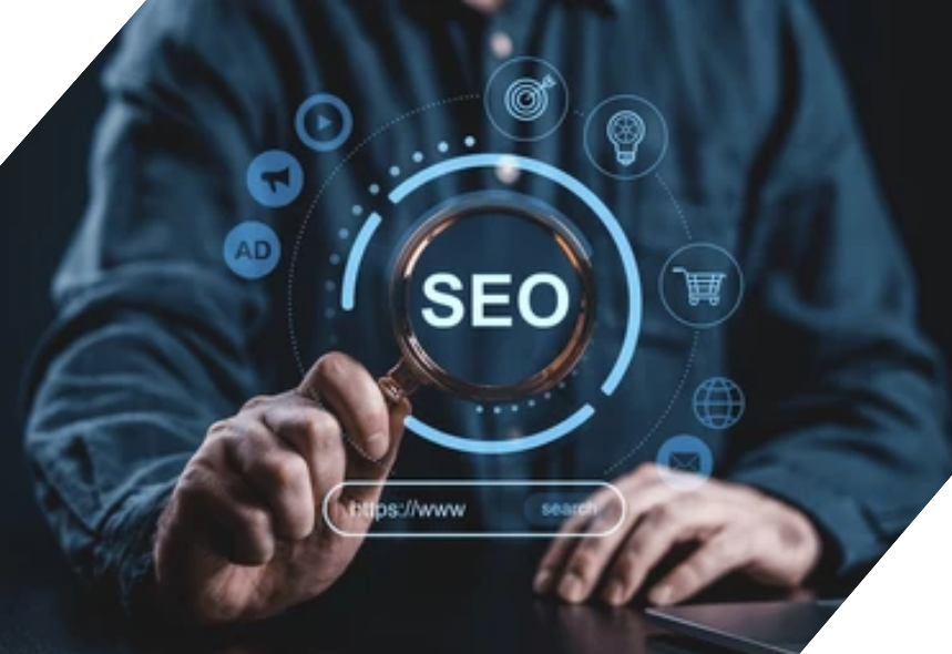 SEO Partner in Jaipur